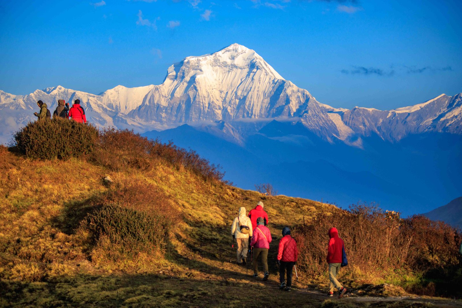 Dhaulagiri seen from Muldai Viewpoint above Dobato on the Khopra Ridge Trek