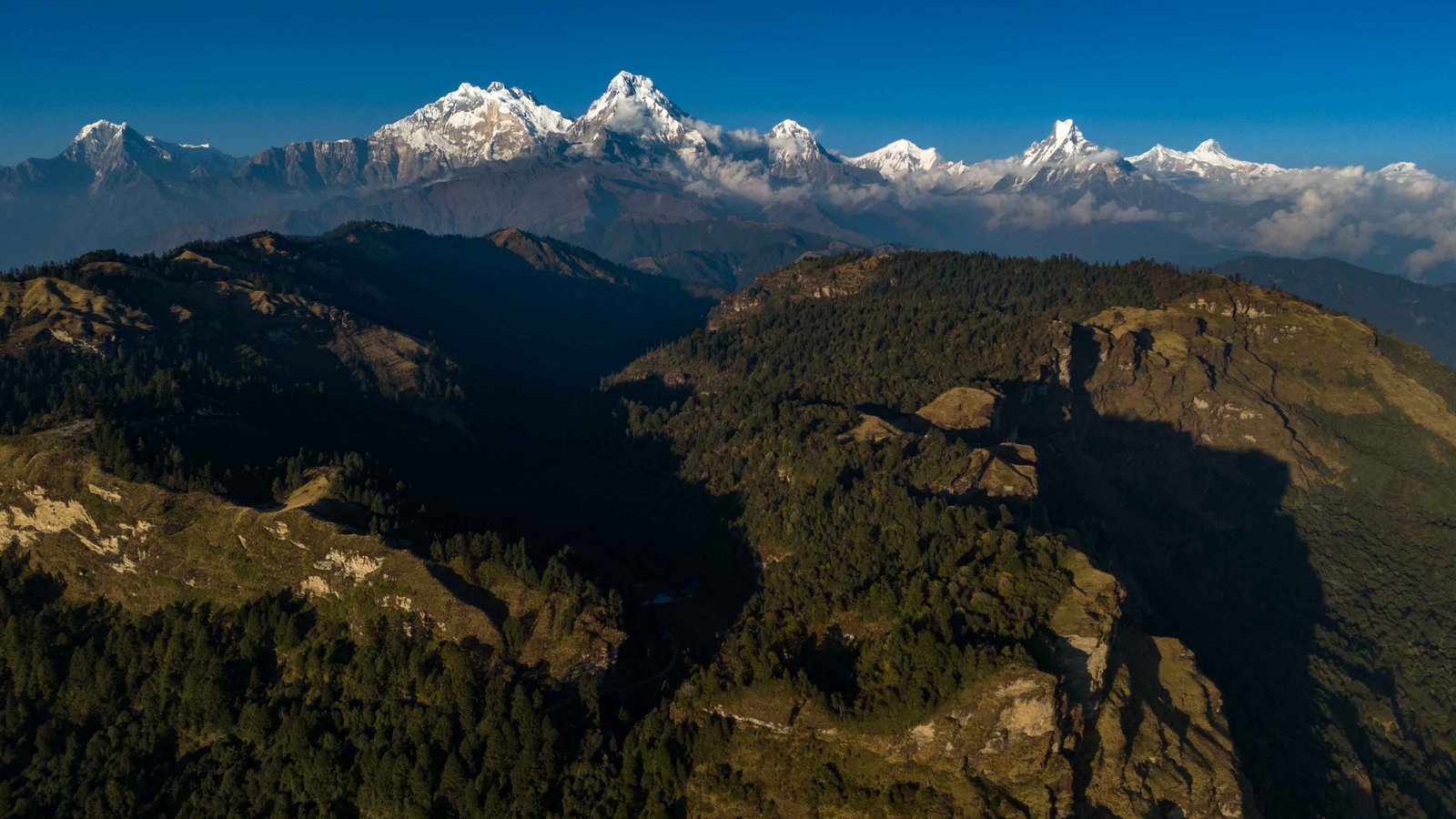जलजला क्षेत्रको हवाई दृश्य: रङिएको जङ्गल, डाँडा र हिमशृङ्खला