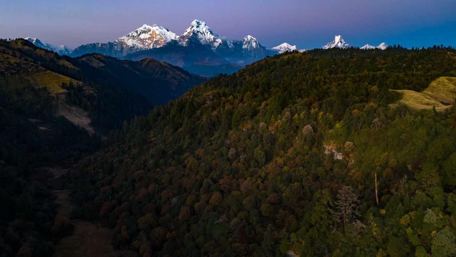 साँझपख जलजलाको डाँडा र जङ्गल, पृष्ठभूमिमा हिमाल