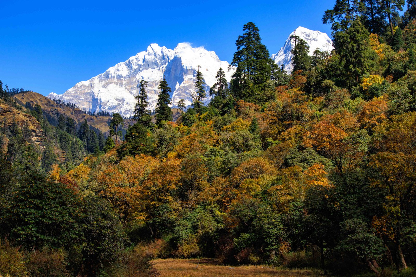 जलजलामा पहेँला र राता पात भएका रूख र पछाडि हिउँले ढाकिएको हिमाल