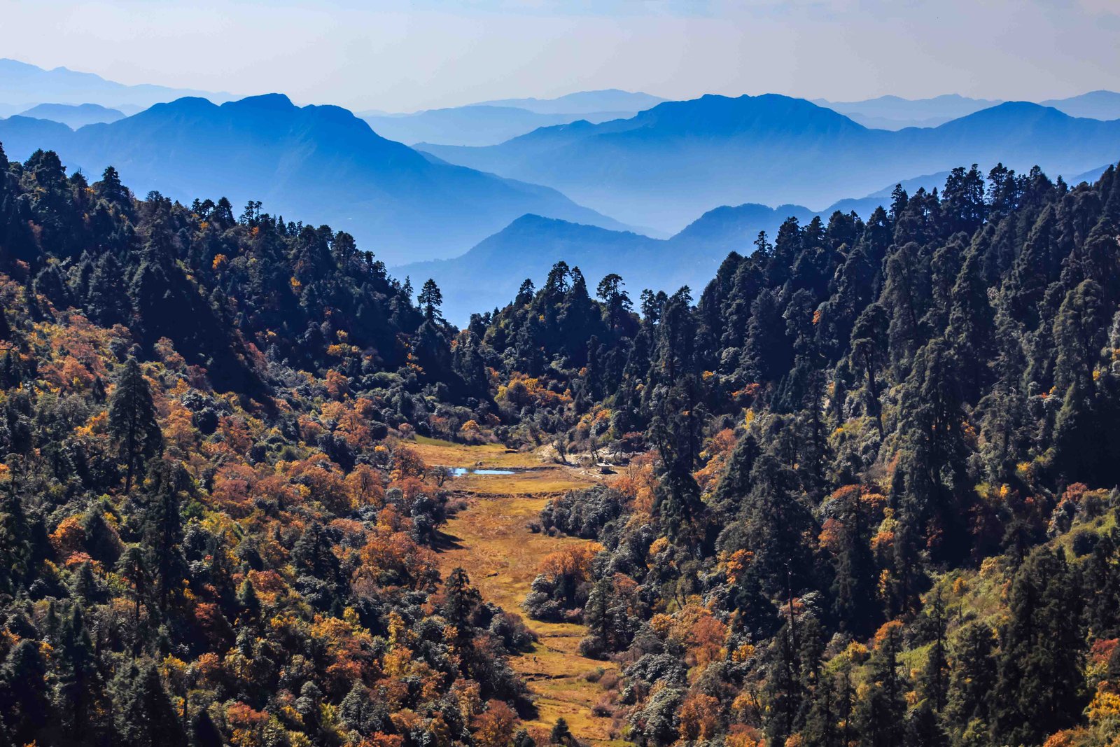 जलजलाको लेकमा रङ फेरिएका रूख र टाढासम्म फैलिएका डाँडाहरू