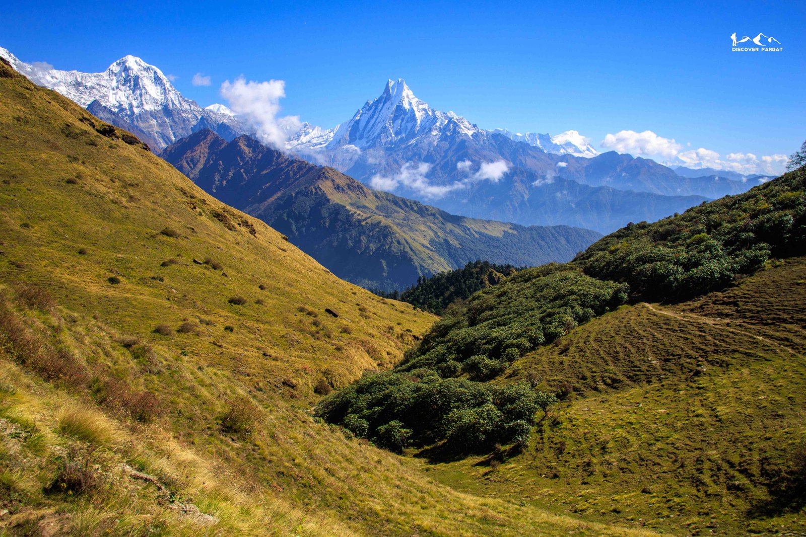 Machhapuchhre (Mt Fishtail) seen from Muldai Viewpoint on the Multiple Viewpoints Trek