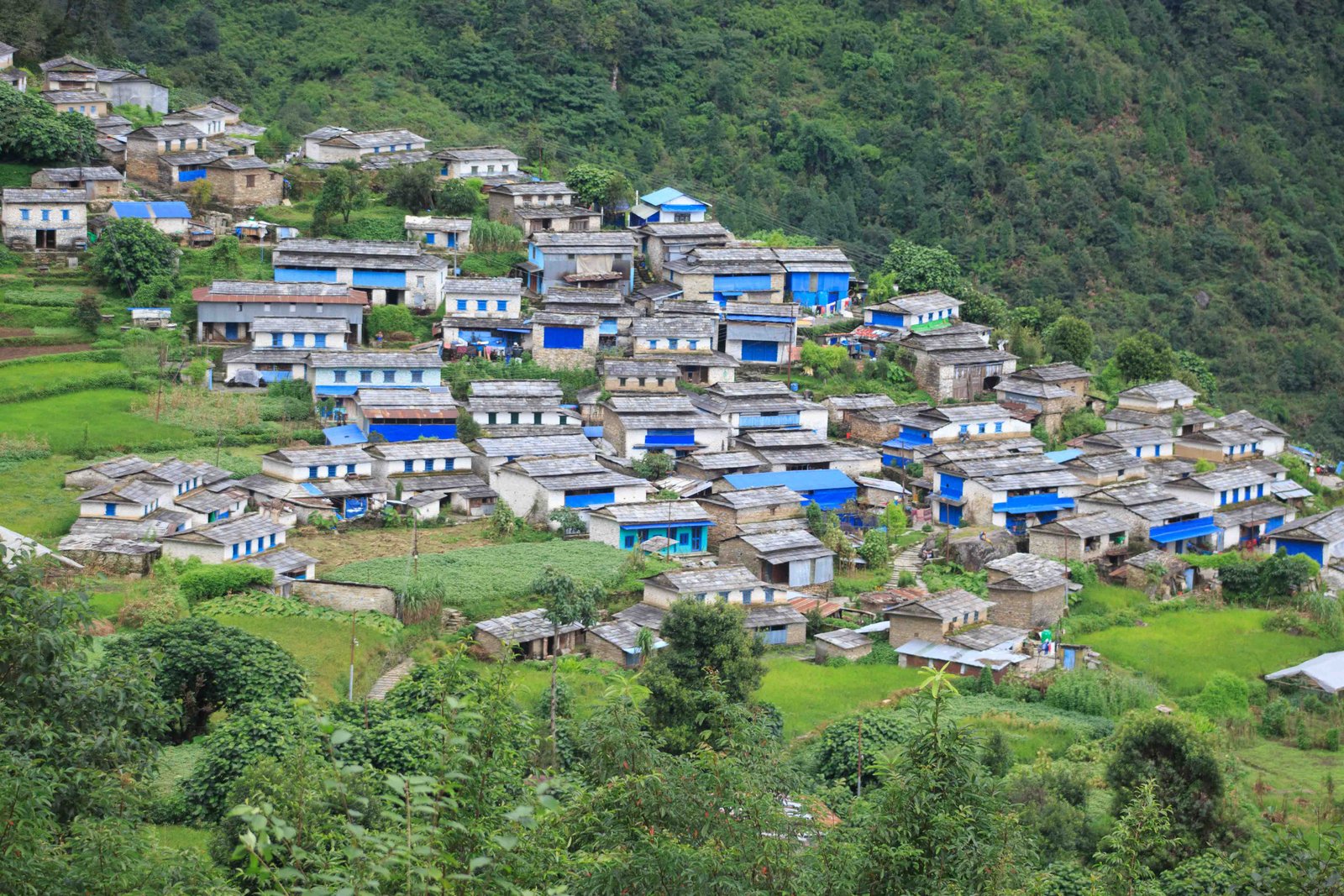 Houses and terraced fields of Lespar village in Parbat, Nepal