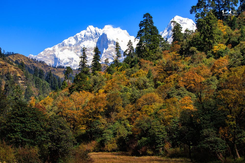 Khopra Ridge Trek