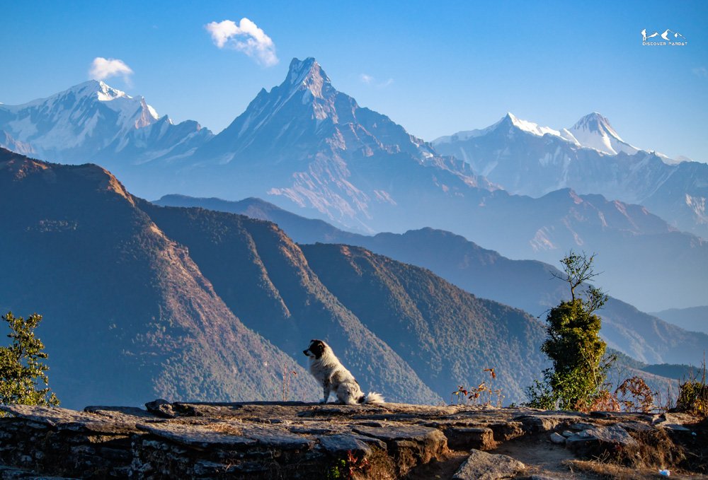 Kokhe Danda Trek