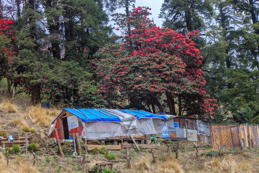 Kokhe Danda Trek