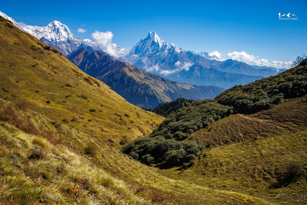 Short Multiple Viewpoints Trek — photo 3
