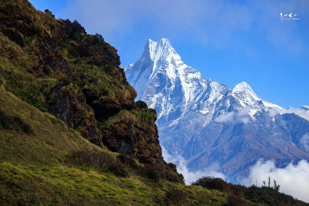 Short Multiple Viewpoints Trek — photo 4