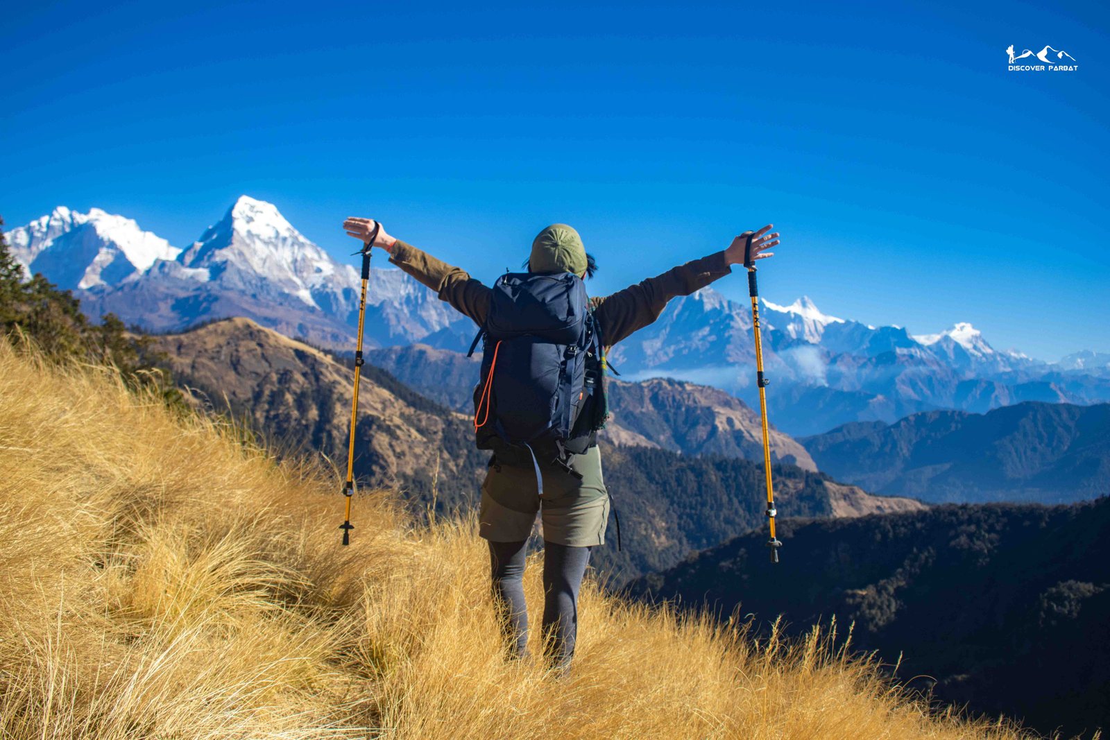 Which Permits Do You Need for Trekking in Nepal? Do You Still Need a TIMS Card? (2026 Guide)